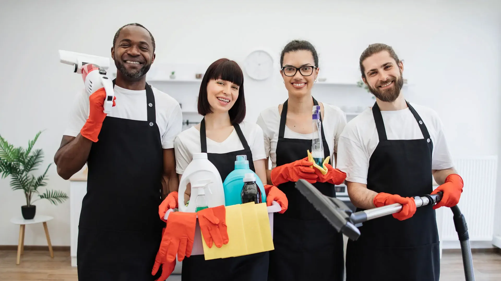 professional-cleaning-service